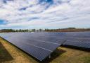 Stock picture of solar panels. Credit: Mark Stebnicki via Pexels