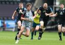 PROMISING: Dragons centre Joe Westwood on the attack at the Ospreys