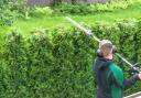 A stock photo of a garden hedge being trimmed.
