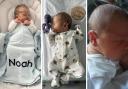Noah, Oscar and Kingston are the new arrivals celebrated this week