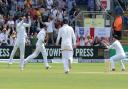 England celebrate the wicket of Rogers. (31719638)