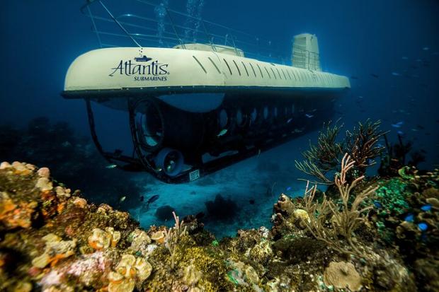 South Wales Argus:  Atlantis Submarine Expedition in Cozumel - Cozumel, Mexico. Credit: TripAdvisor