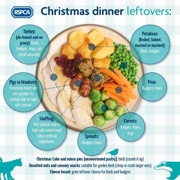 South Wales Argus: Some Christmas dinner leftovers can be hazardous to pets. Picture: RSPCA