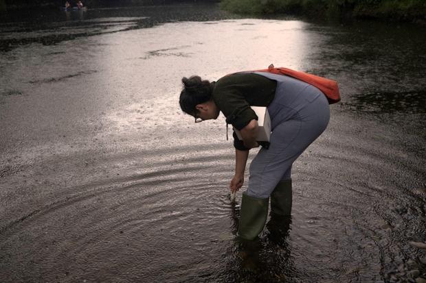 A volunteer sampling water from the river Wye. Picture: Richard Greatrex
