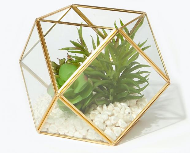 South Wales Argus: Succulents in Hexagonal Planter is available via Matalan. Picture: Matalan