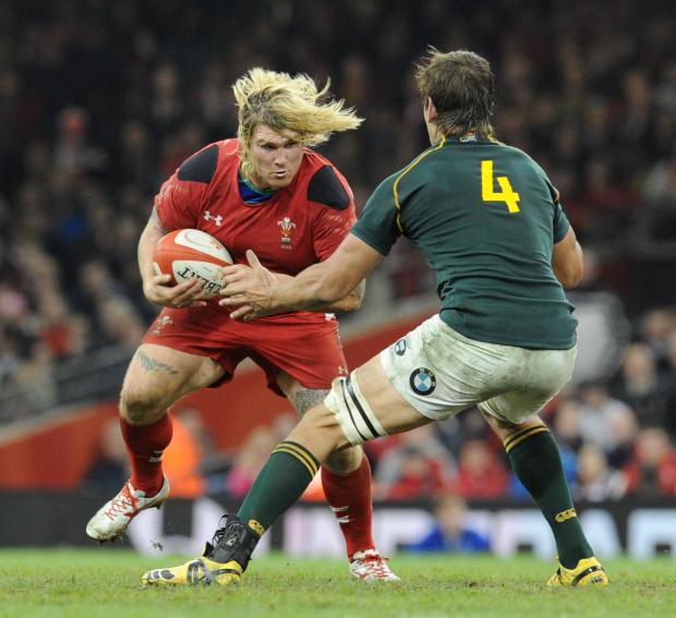 South Wales Argus: ON THE CHARGE: Richard Hibbard takes on the Springboks