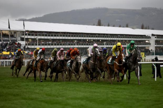 These are all the runners and riders for the seven races taking place at Cheltenham Festival on Thursday (PA)