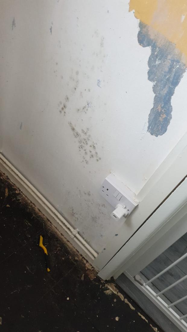 South Wales Argus: Ms Stickland says she was told that she didn't have damp and that the appearance of mould was from frequent decorating. (Picture: Kelly Stickland)