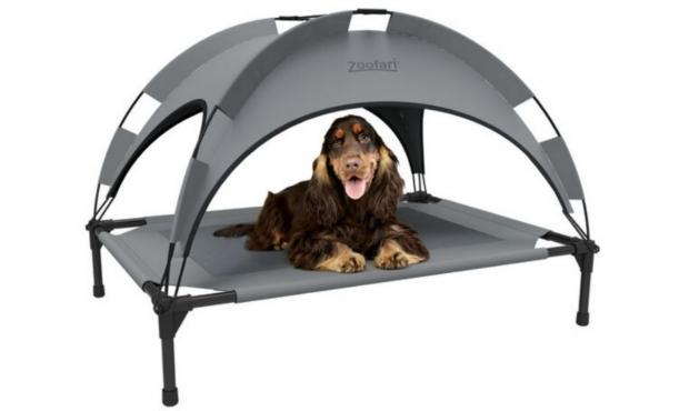 South Wales Argus: Zoofari Dog Bed with Sunshade (Lidl)