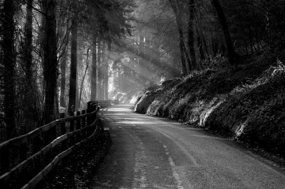 South Wales Argus: Llandogo towards Cleddon. Picture: Simon James Bedford, South Wales Argus Camera club South Wales Argus: Llandogo towards Cleddon. Picture: Simon James Bedford, South Wales Argus Camera club