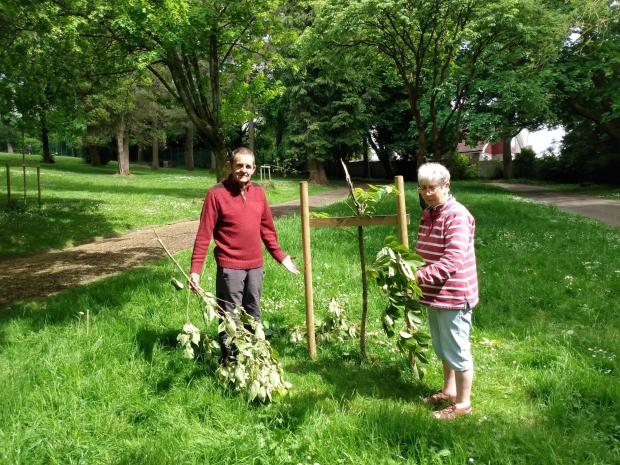 South Wales Argus: Stuart Evans and Janet Jones near one of the trees destroyed by vandals