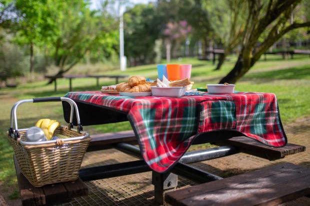 South Wales Argus: A picnic laid out on a bench. Credit: Canva