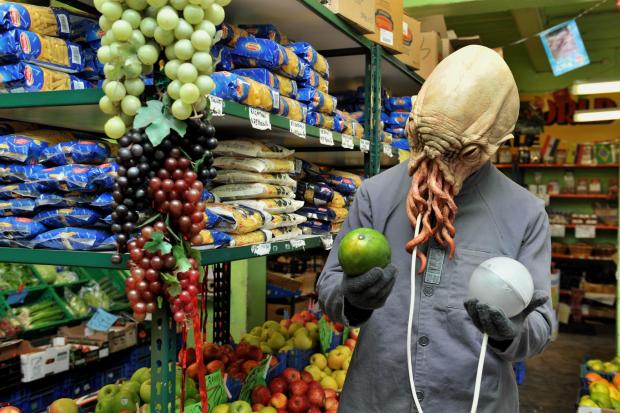 South Wales Argus: Photos Becky Matthews Words Newsdesk 21.06.12
Dr Who monster the Ood tries to blend in around Newport after escaping from the Dr Who Experience in Cardiff.
Shopping in Fruits of the World, Newport Indoor Market