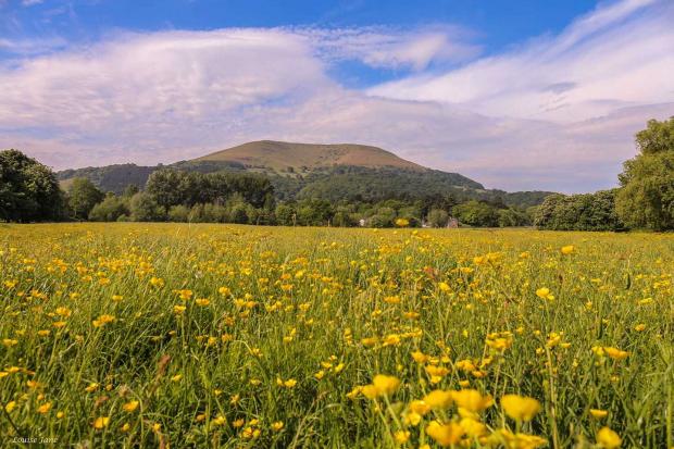 South Wales Argus: Peaceful: Castle Meadow at Abergavenny looking towards the Blorenge. Picture: Louise Jane, South Wales Argus Camera Club