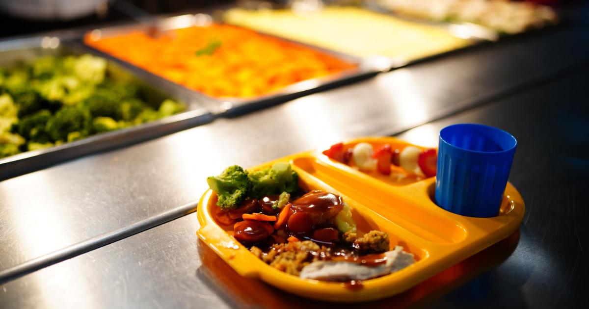 Primary school pupils in Torfaen get free school meals in September - Vimarsana News