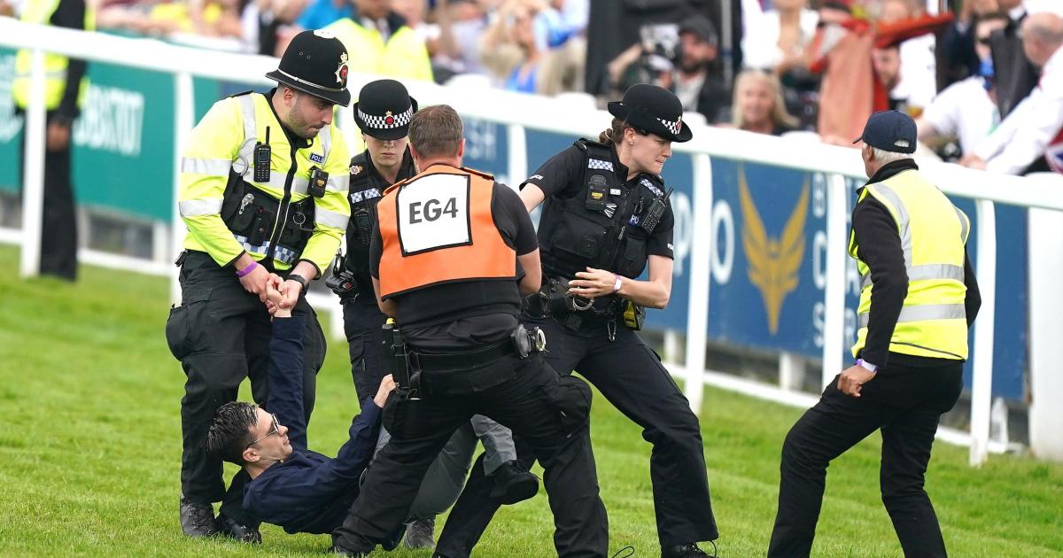 Animal rights activist spared jail after Epsom Derby disturbance - Vimarsana News