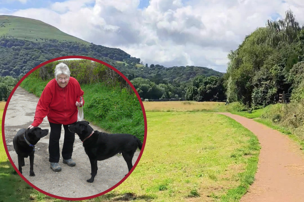Castle Meadows path plans - Abergavenny woman plans march - Vimarsana News