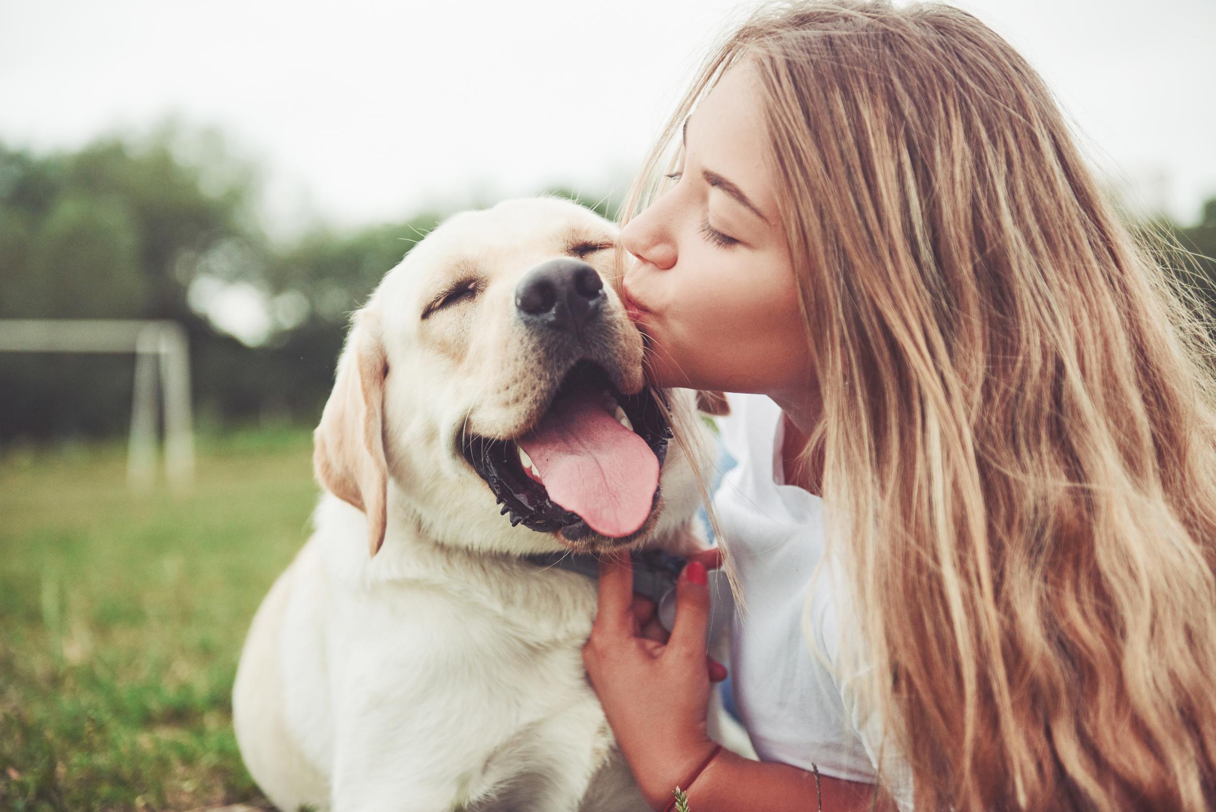 Most popular dog breeds and names in Wales revealed - Vimarsana News