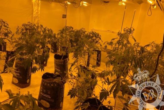 South Wales Argus: Picture: Gwent Police South Wales Argus: Picture: Gwent Police