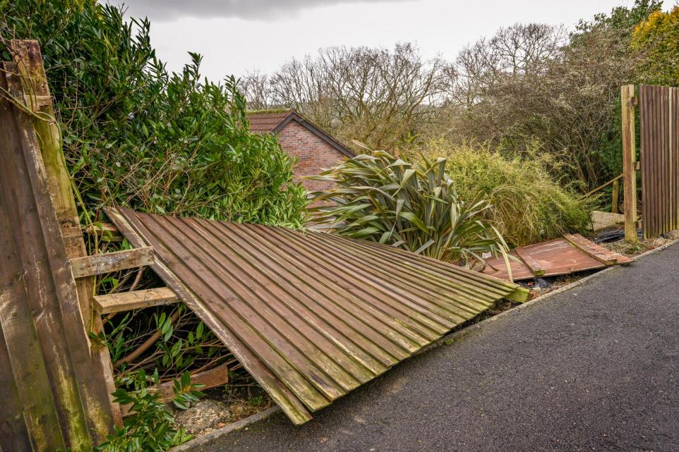 £59 warning to anyone with contents or building insurance - Vimarsana News
