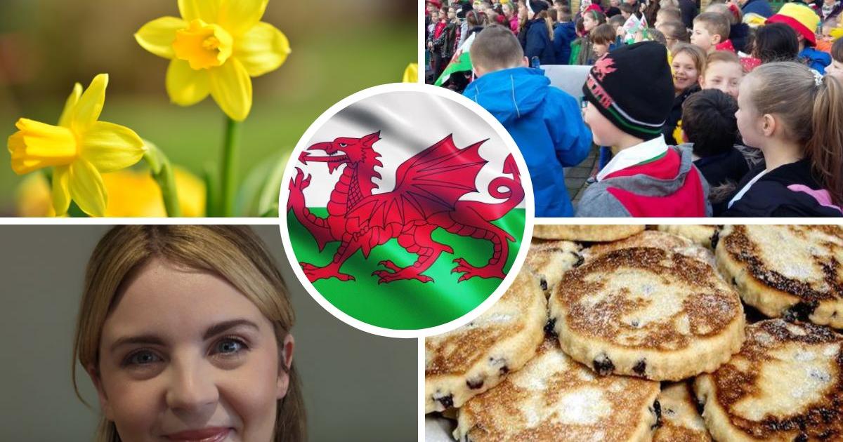 Should Wales get a national holiday for St David's Day? - Vimarsana News
