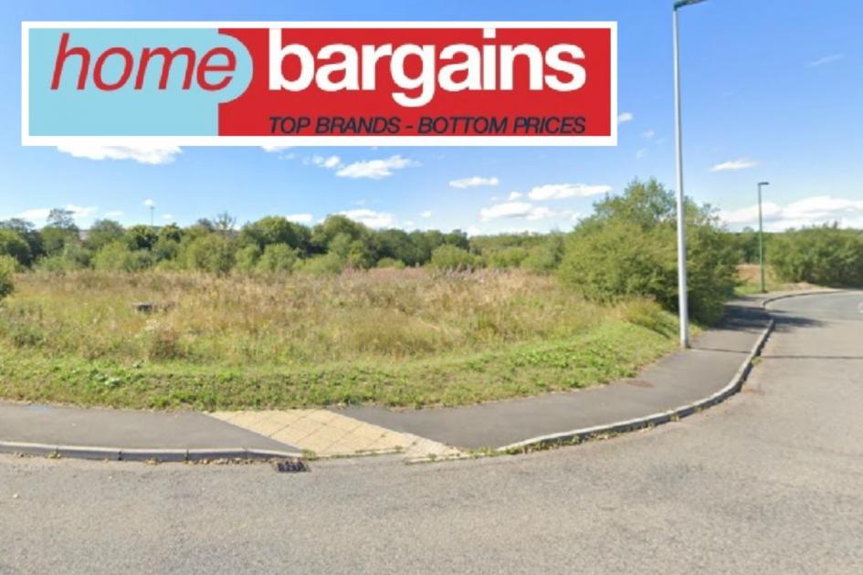 Plan for Home Bargains in Ebbw Vale could create 100 jobs 