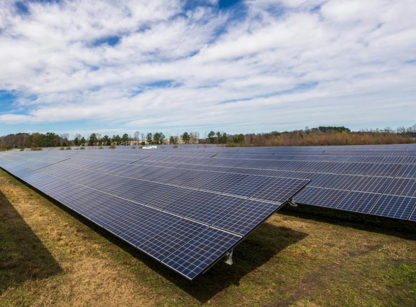 New solar farm in Newbridge could power 12,500 homes 