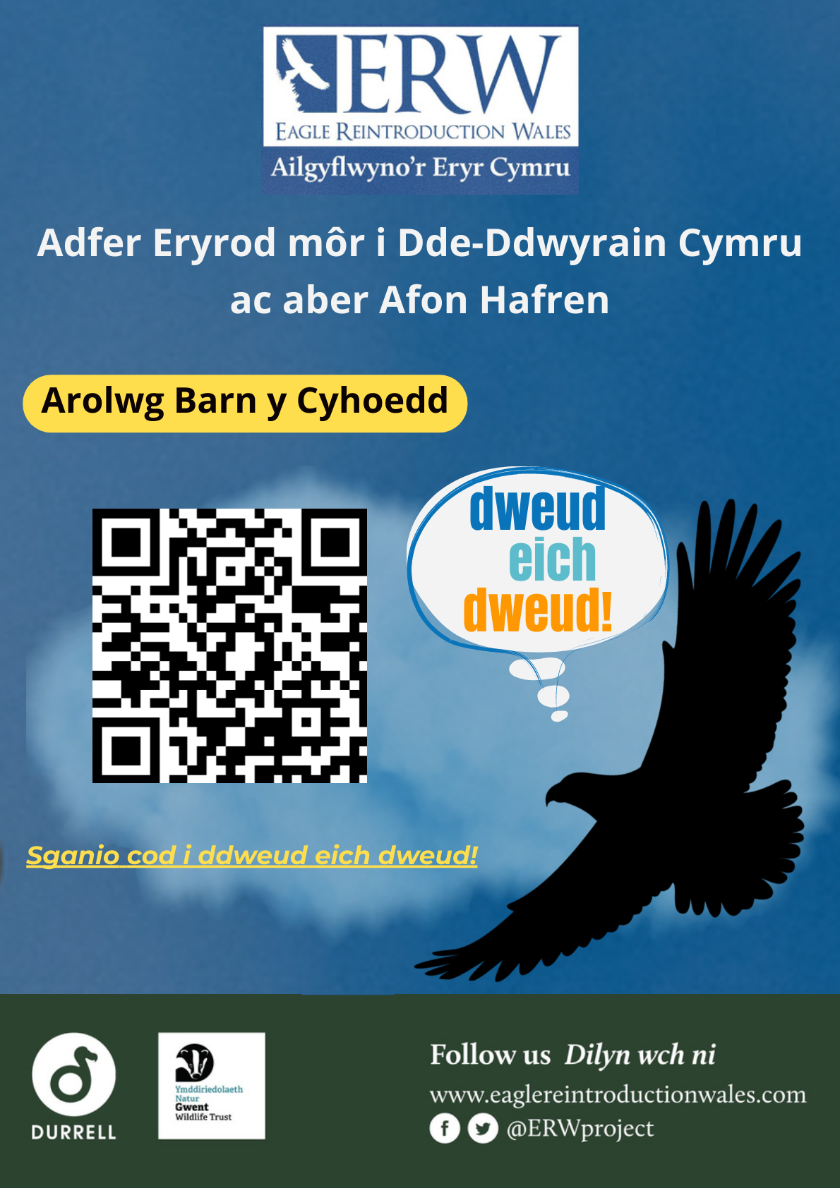 White-tailed Eagles reintroduction to Wales under scrutiny - Vimarsana News