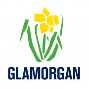 Glamorgan badge