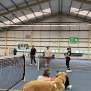 Newport Tennis Centre hosted a Lawn Tennis Association regional visually impaired tennis competition. Picture: Newport Live.