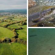 Wildlife projects across Wales to benefit from share of £7m fund