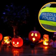 Police thanked the community for keeping safe during Halloween