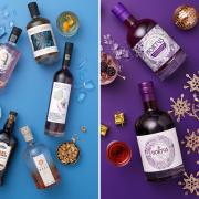 Lidl release new Christmas flavoured Hortus Gin and winter Spirits Festival (Lidl/Canva)