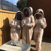 Buzzing: Bee Keepers at St Martin’s School