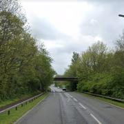 Cwmbran road to be closed on three weekends to remove diseased trees
