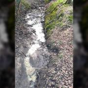 The pollution incident at Nant Cylla, a tributary of the River Rhymney, that killed more than 300 fish. Picture: Natural Resources Wales