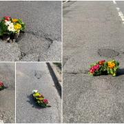 Duncan Campbell has been planting flowers in potholes to highlight issues with the state of the roads in Cwmbran. Pictures: Duncan Campbell.
