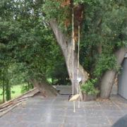 The terrace built around the oak tree in Porthkerry
Picture: Vale of Glamorgan council
Free to use for all LDRS partners
