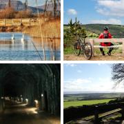 On yer bike - our favourite places to go for a ride on World Bicycle Day