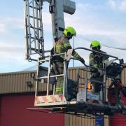 Firefighters used a hydraulic platform to rescue the seagull from a roof in the Maesglas area of Newport. Picture: RSPCA
