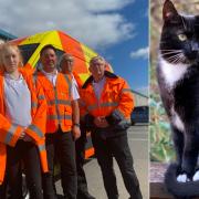 Animal Search UK’s Missing Pet Search Team have been helping look for Noah
