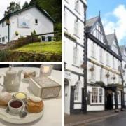 The places in Monmouthshire with the best food hygiene ratings.