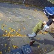 Watch: shocking CCTV footage shows man kicking a cat into a wall in Newport