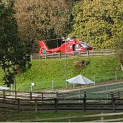 The Wales Air Ambulance is pictured at Oakwood. Picture: via Western Telegraph