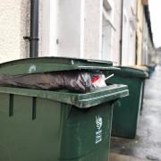 Rubbish bins out for collection in Newport.