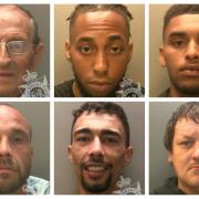 Top row, from left, William Beer, Luke Carvalho and Daeshaun Webbe. Bottom row, from left, Luke James, Levy Timmins and David McPaul.