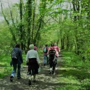 The Walk the Wye event will have six routes to choose from