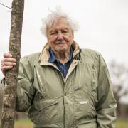 Sir David Attenborough will narrate Netflix's Our Plant II which will be released in June