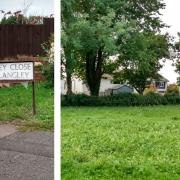 This field, behind homes on Langley Close in Magor, is one of the sites that has been under consideration as accommodation for Gypsy Travellers.