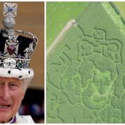 Spot the difference: An image of King Charles III (left, or is it right?), has appeared on a field in South Wales. Picture: Andrew Milligan/PA Wire